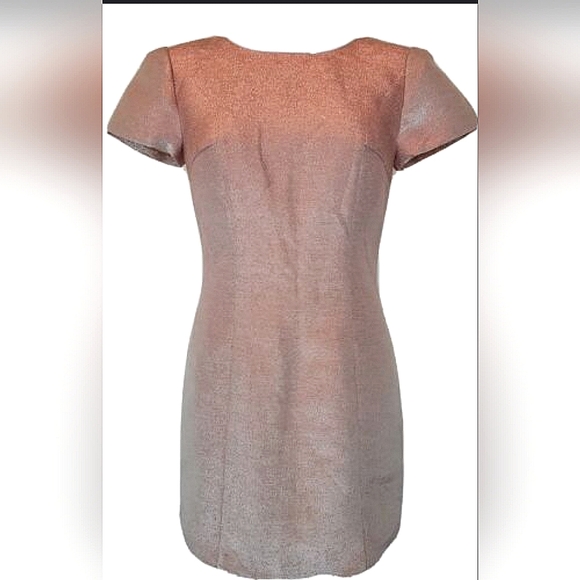 Express Pink Metallic Short Sleeve Dress Sz 8 - Picture 2 of 12